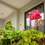 Вилла Meriteluna Пареде