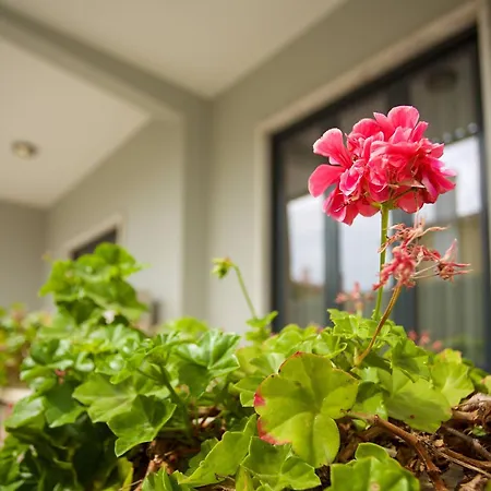 Вилла Meriteluna Пареде